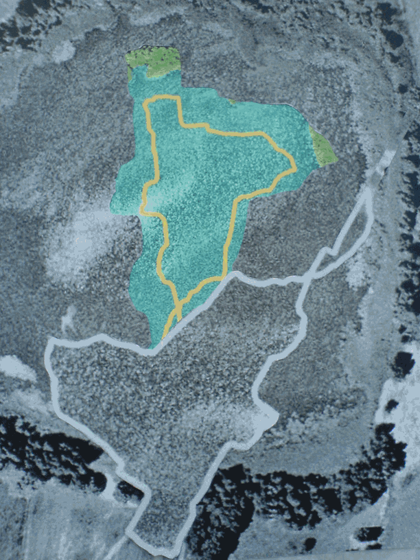 Laura Pearsall 447.gif